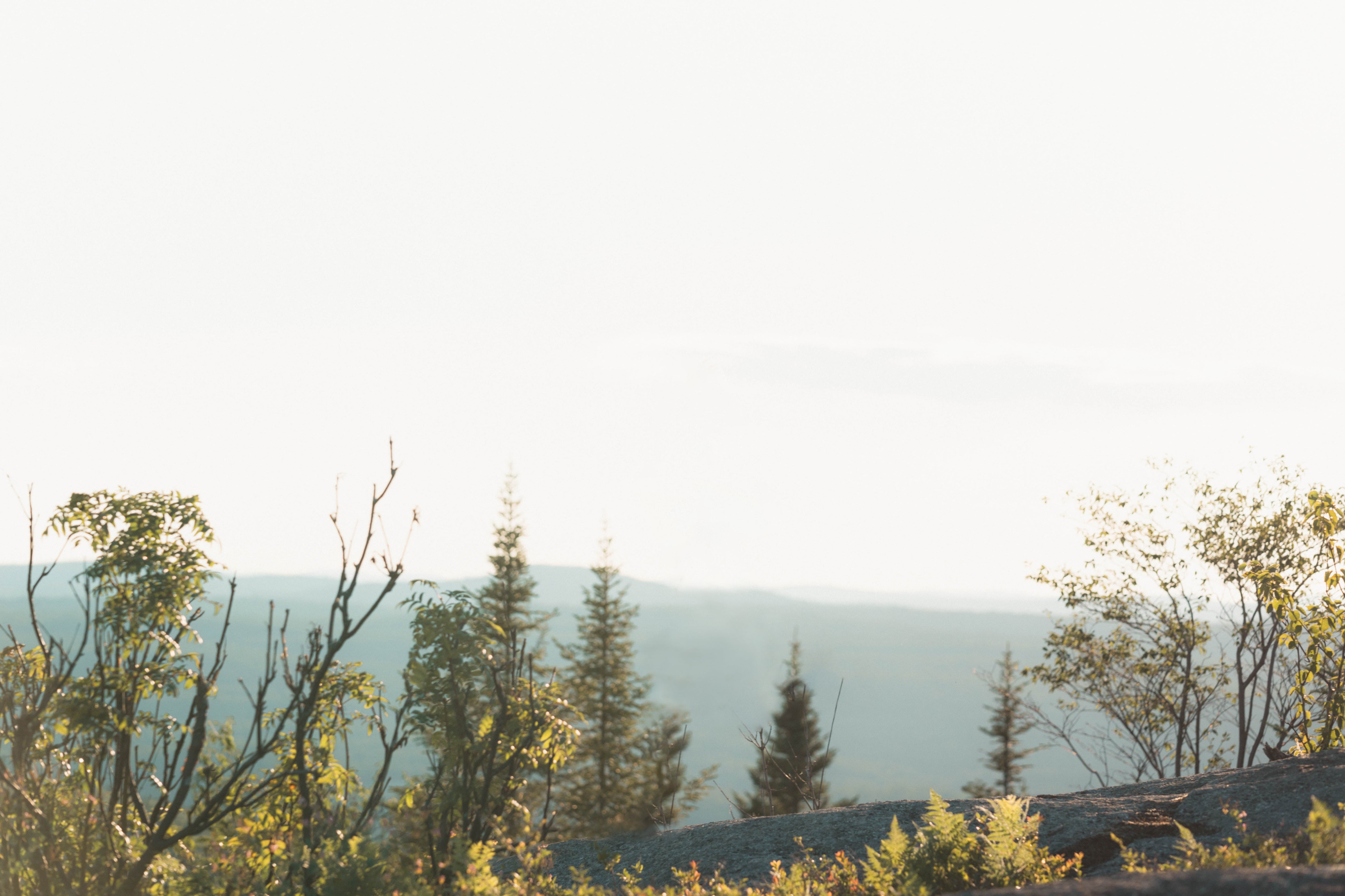 5 Hiking Trails to Explore in Quebec