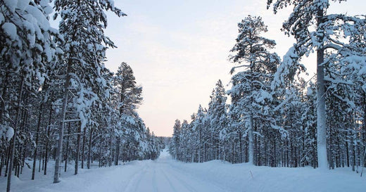 Learning to run during winter