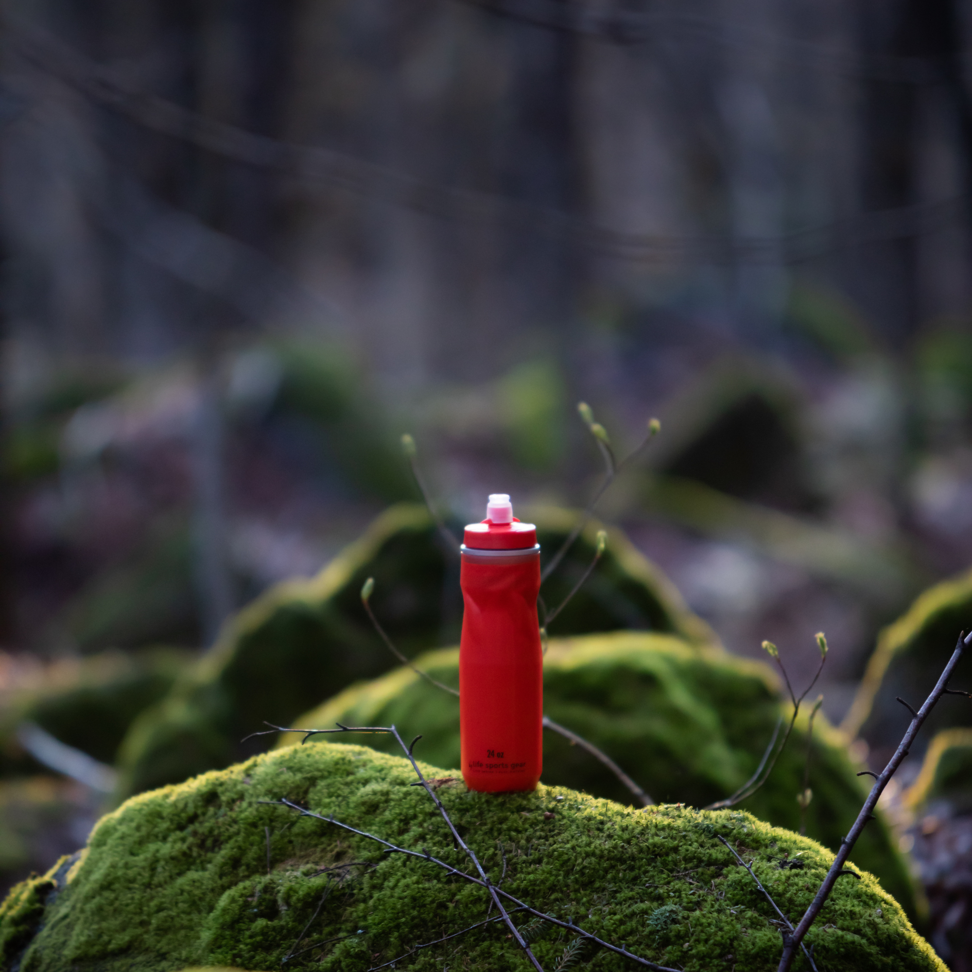 Insulated Bottle 24 oz