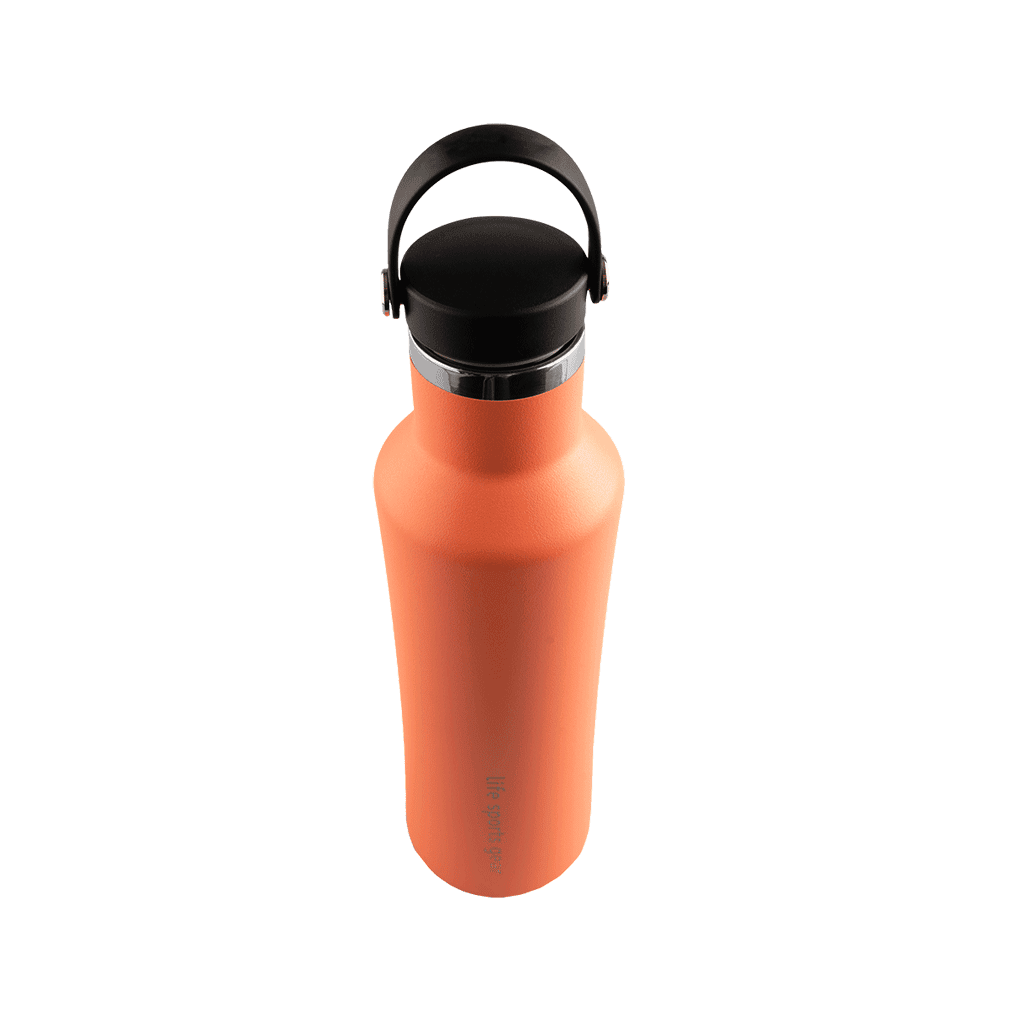 Insulated Stainless Steel Bottle With Carrying Handle - 530ml