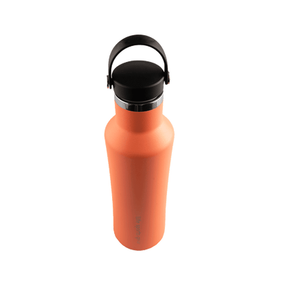 Insulated Stainless Steel Bottle With Carrying Handle - 530ml