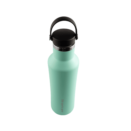 Insulated Stainless Steel Bottle With Carrying Handle - 530ml