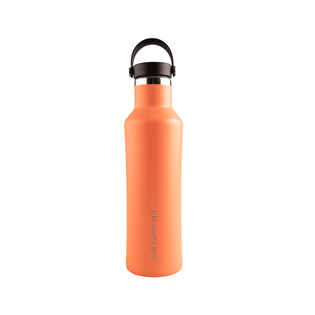 Bouteille isotherme en acier inoxydable avec poignée de transport - 530ml