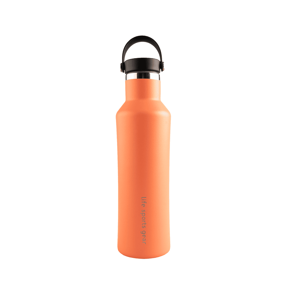 FREE GIFT | Insulated Stainless Steel Bottle With Carrying Handle - 530ml