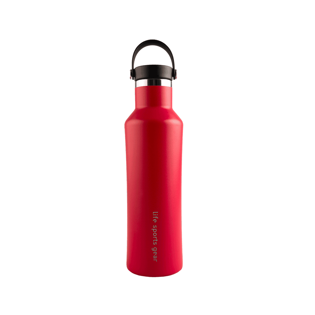 Insulated Stainless Steel Bottle With Carrying Handle - 530ml