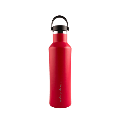 Insulated Stainless Steel Bottle With Carrying Handle - 530ml