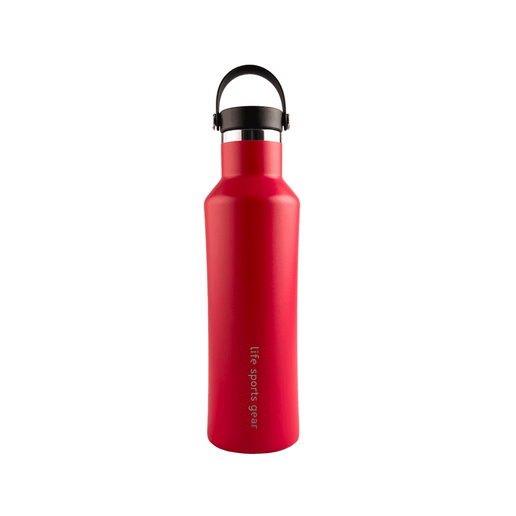 FREE GIFT | Insulated Stainless Steel Bottle With Carrying Handle - 530ml
