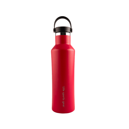 FREE GIFT | Insulated Stainless Steel Bottle With Carrying Handle - 530ml