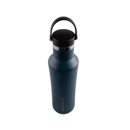 Insulated Stainless Steel Bottle With Carrying Handle - 530ml