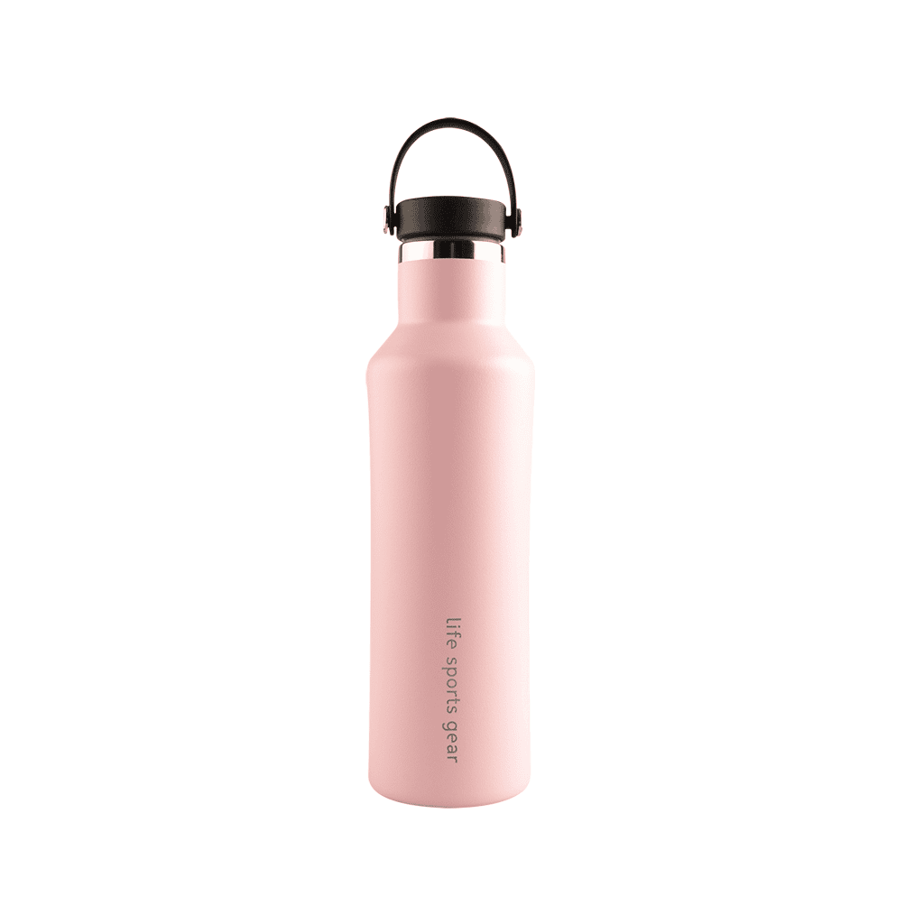 Insulated Stainless Steel Bottle With Carrying Handle - 530ml