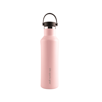 Insulated Stainless Steel Bottle With Carrying Handle - 530ml