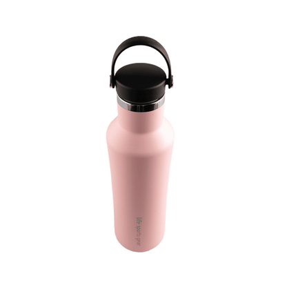 Insulated Stainless Steel Bottle With Carrying Handle - 530ml