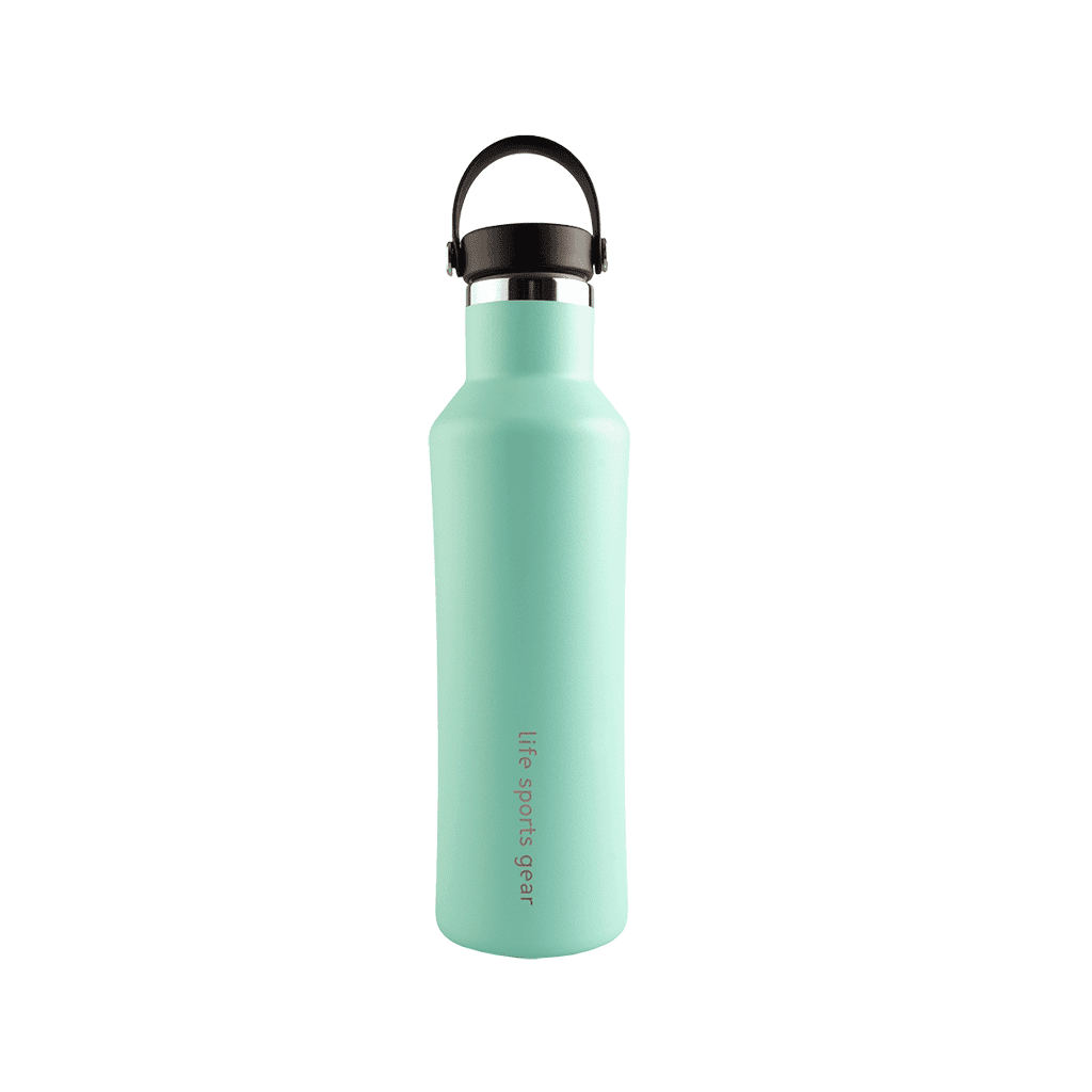 Insulated Stainless Steel Bottle With Carrying Handle - 530ml