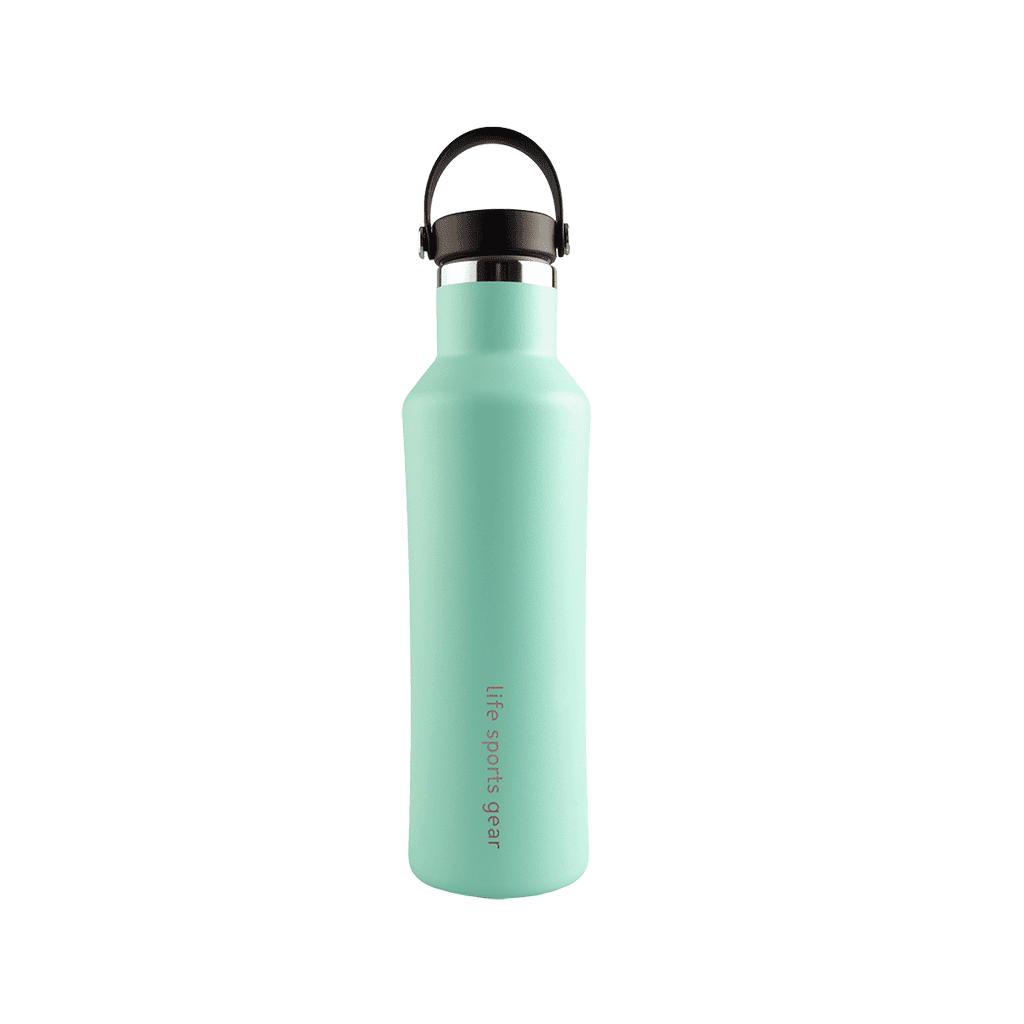 FREE GIFT | Insulated Stainless Steel Bottle With Carrying Handle - 530ml