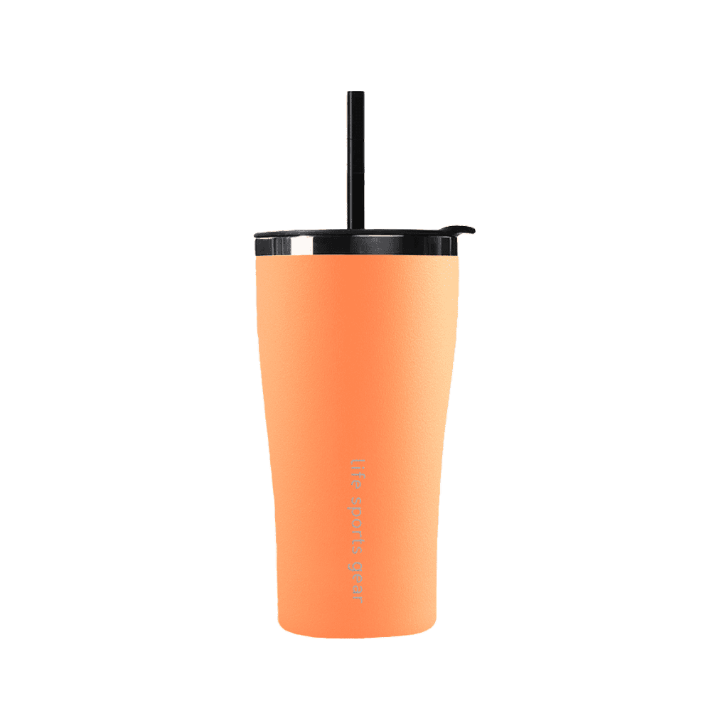 Insulated Stainless Steel Tumbler With Straw - 530ml