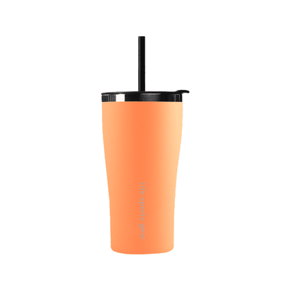 Insulated Stainless Steel Tumbler With Straw - 530ml