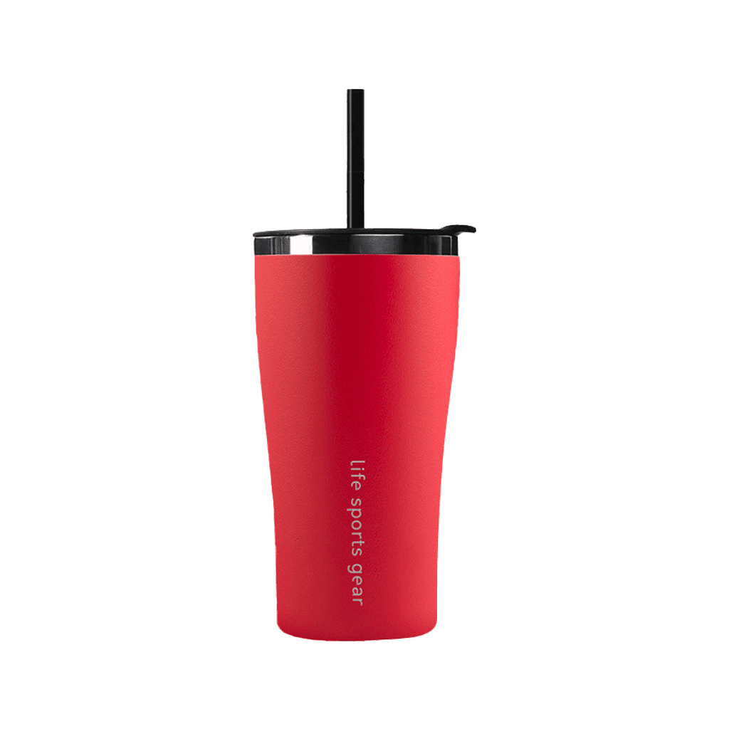 Insulated Stainless Steel Tumbler With Straw - 530ml