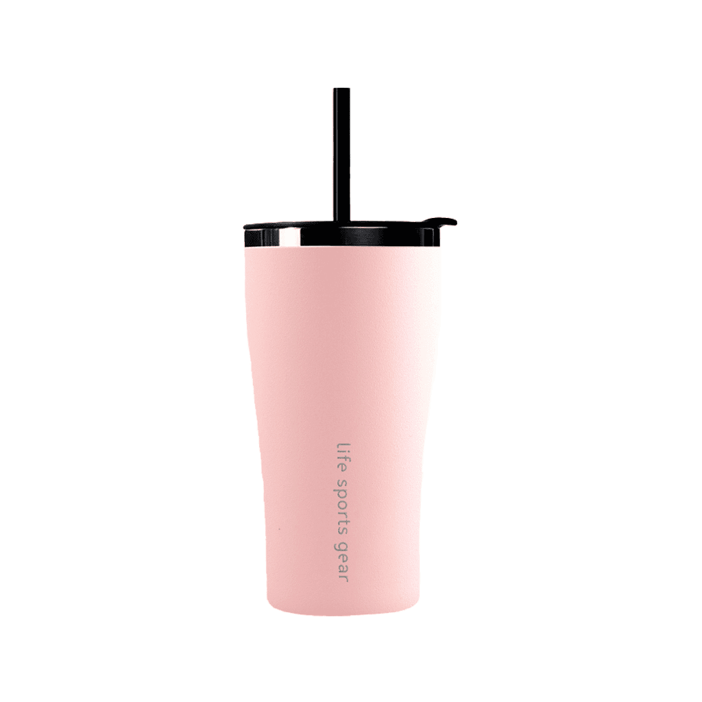 Insulated Stainless Steel Tumbler With Straw - 530ml