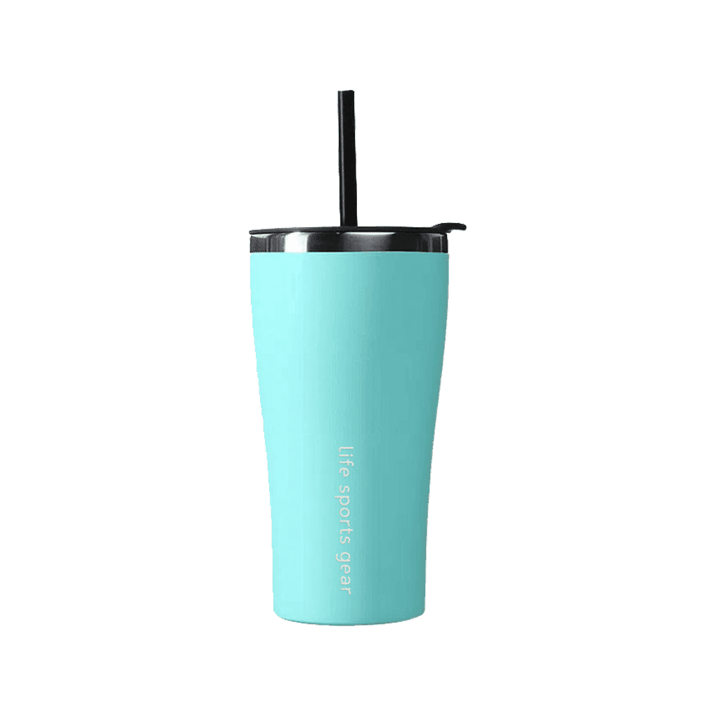 Insulated Stainless Steel Tumbler With Straw - 530ml