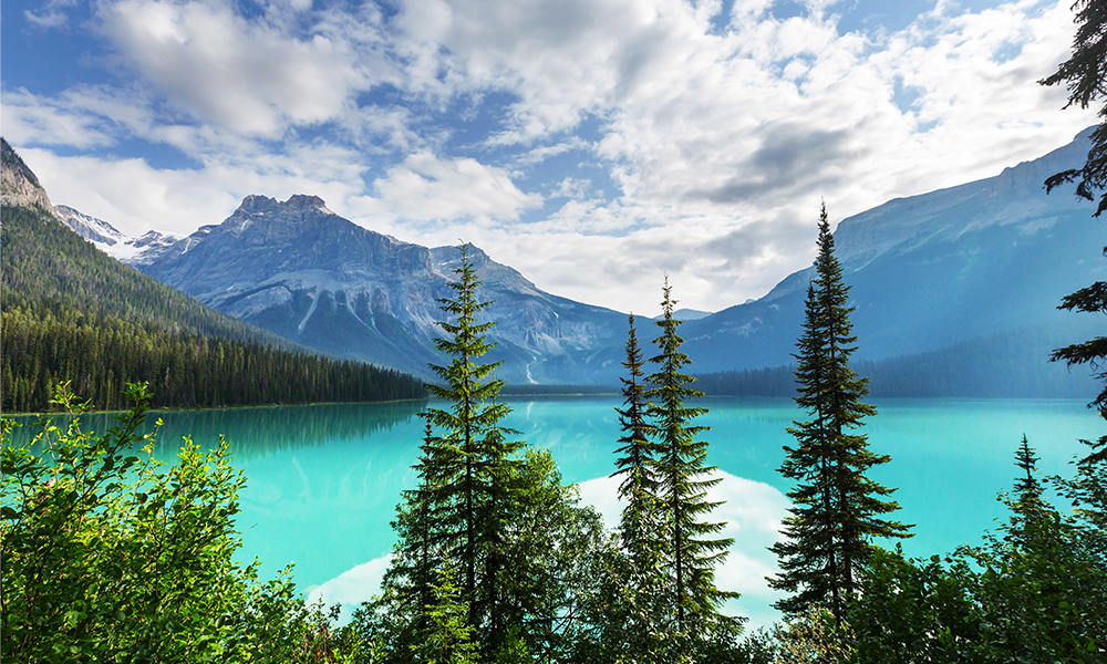 Emerald Lake Trail: Mountains in the background, with a clear blue lake and some trees